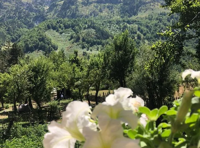 Guest House Ledio