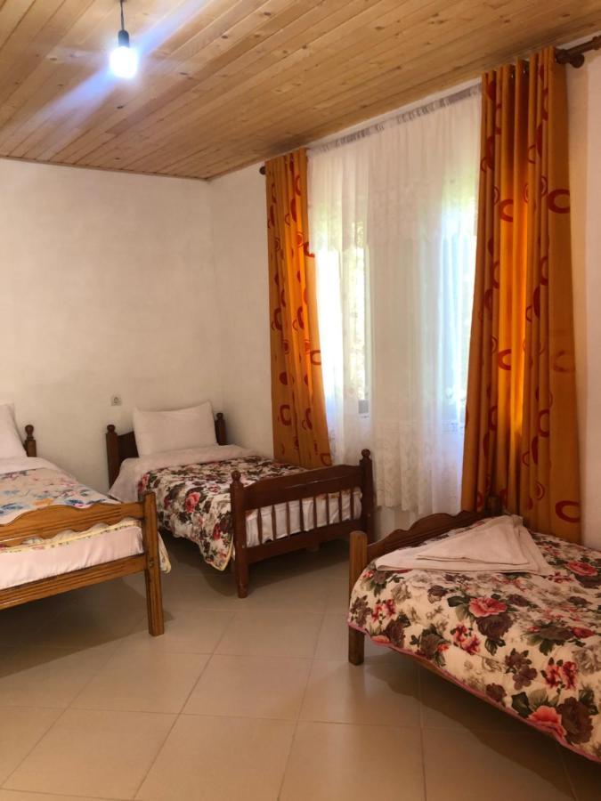 Guest house Ledio Valbone